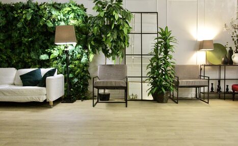 Арендовать Veresk Photostudio - фотостудия у метро Кунцевская