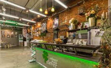 Арендовать Кулинарная Студия Clever