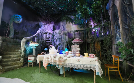 Арендовать Сказочный лес/пещера. Киностудия ТвоёКино