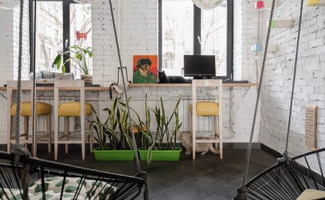 Арендовать КотоБюро 