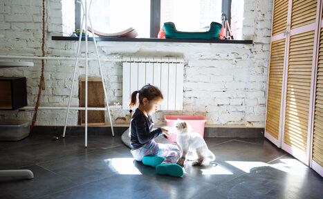 Арендовать КотоБюро 