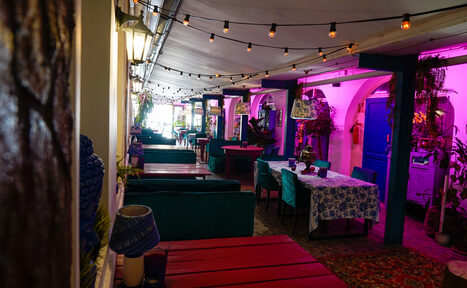 Арендовать Индийский лофт-сад с тропическими растениями