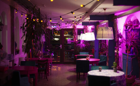 Арендовать Индийский лофт-сад с тропическими растениями