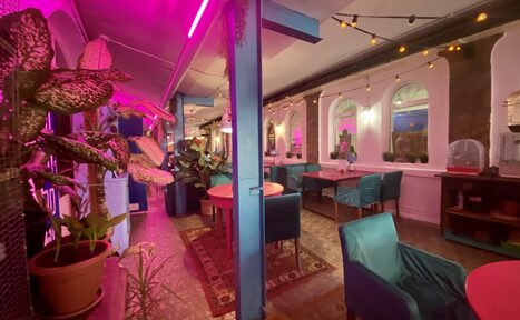 Арендовать Индийский лофт-сад с тропическими растениями