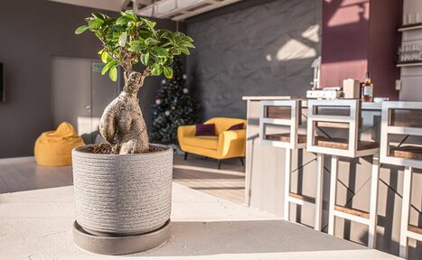 Арендовать DDMP Event. Атмосферное пространство 