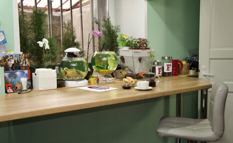 Арендовать Лофт с пуфами на Спортивной