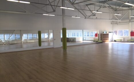 Арендовать Рекорд. Большой спортивный лофт