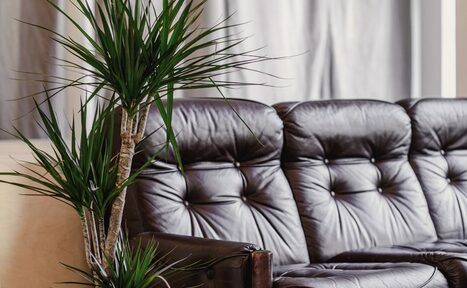 Арендовать Студия перформативных искусств СДВИГ