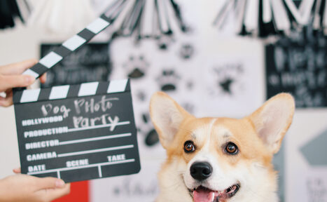 Арендовать Cloud Nine. Арт-пространство на мансардном этаже