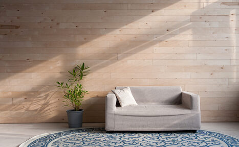 Арендовать Фотостудия Эффект Бабочки Яркий лофт на Варшавском шоссе