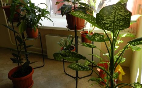 Арендовать Учебный класс с партами