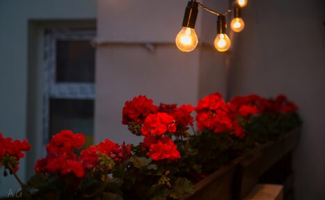 Арендовать RoofTop Крыша на Неглинной