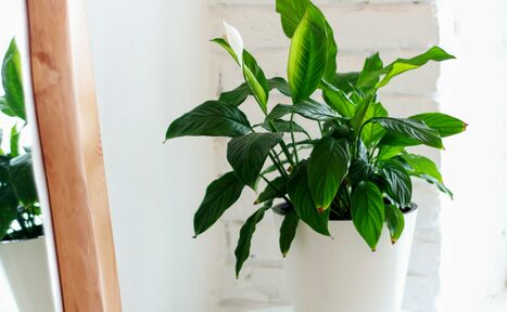 Арендовать  Креативный дом От ума. Студия Мастерская