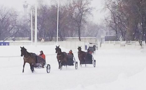 Арендовать Фуршетный зал