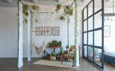 Арендовать Studio 33/13. Фотостудия для праздников