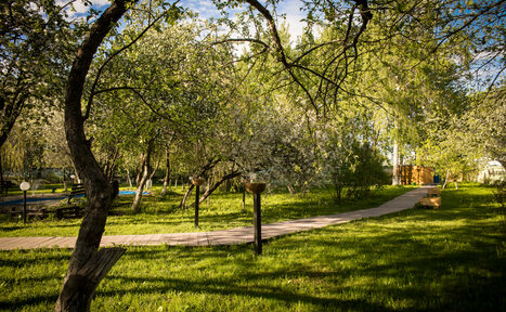 Арендовать Apple Hill. Яблоневый сад 
