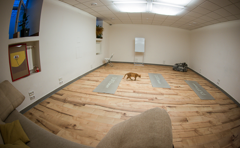 Арендовать Школа музыки VoIcecontact Зал с камерой и быстрым интернетом