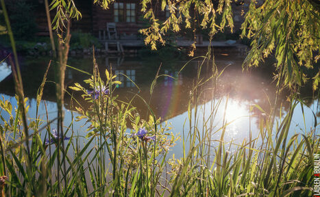 Арендовать Мини-отель "Таёжный"