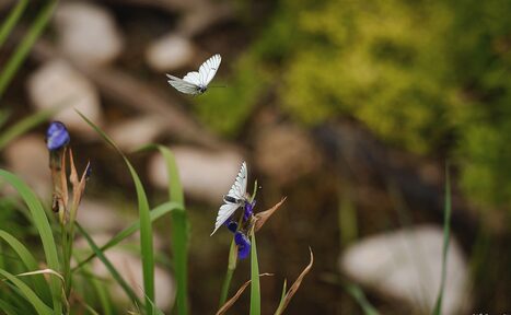 Арендовать Мини-отель "Таёжный"