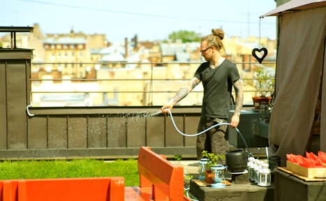Арендовать Lemonade Roof
