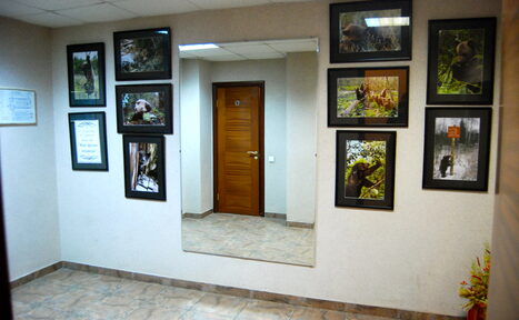 Арендовать Ресторан Лиман