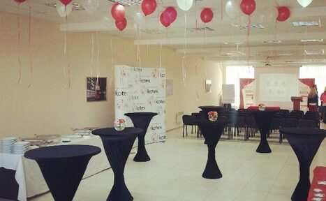 Арендовать Twins