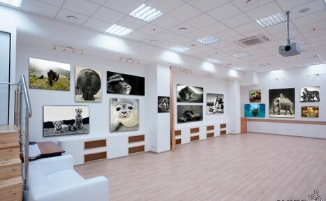 Арендовать Конференц-зал 