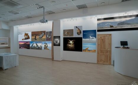 Арендовать Конференц-зал 