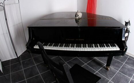 Арендовать Photoparadise