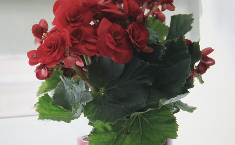 Арендовать PRO СВЕТ Кабинет с массажным столом