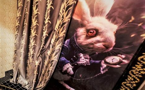 Арендовать ДОУТРА.RU Зал для свиданий и личных встреч