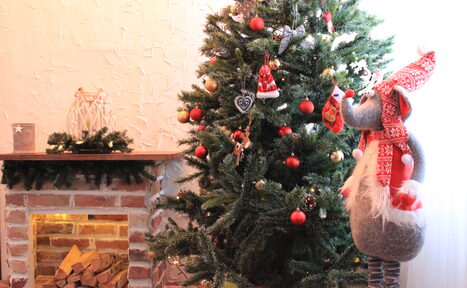 Арендовать Garden loft. Стильное лофт-пространство