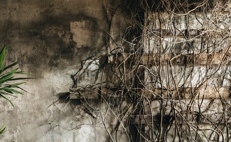 Арендовать Полигон. Эко-лофт Атмосферное лофт-пространство