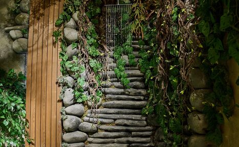 Арендовать Полигон. Бали  Тропический зал