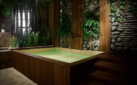 Арендовать Полигон. Бали  Тропический зал