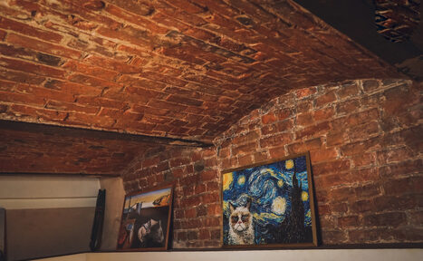 Арендовать Крафт-бар в центре Москвы под закрытие