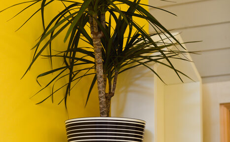 Арендовать Детский лофт