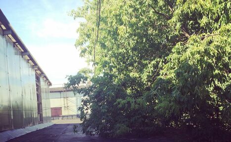 Арендовать Площадка в Москве