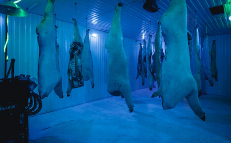 Арендовать Poison House Зонированный лофт с террасой