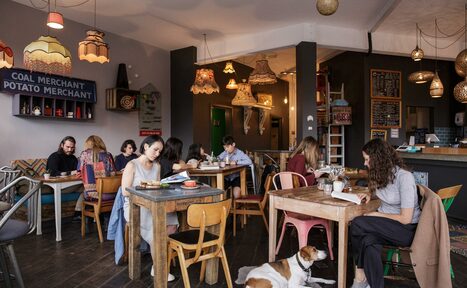 Арендовать Whole Coffee Shop