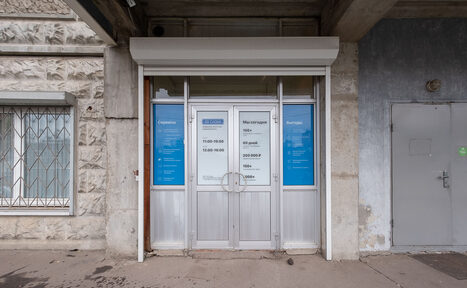 Арендовать 33 слона Площадка в Москве