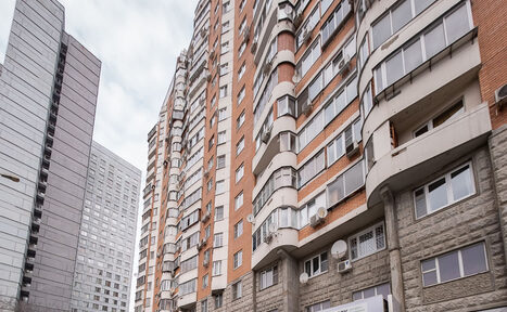 Арендовать 33 слона Площадка в Москве