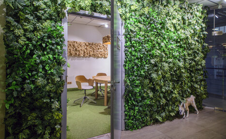 Арендовать Коворкинг ОАК24 Дизайнерская переговорка в стиле джунгли