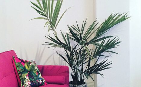 Арендовать Bauhaus at London Art House