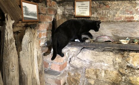 Арендовать Творческий мини-лофт