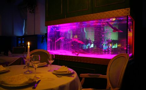 Арендовать Ресторан Владивосток. Банкетный зал со сценой