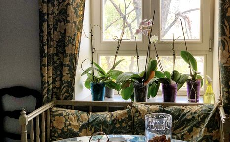 Арендовать Ля Мезон