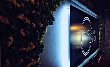 Арендовать BlackBerry Lounge