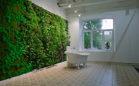 Арендовать Фотостудия Кристалл. Творческое арт-пространство 