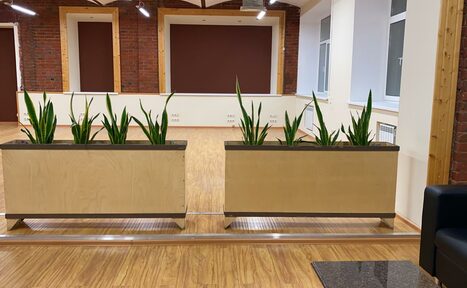 Арендовать Зал с паркетным покрытием